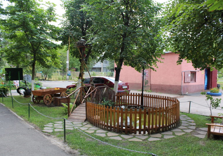 Пруд и карпики среди высоток: как облагородить свой двор