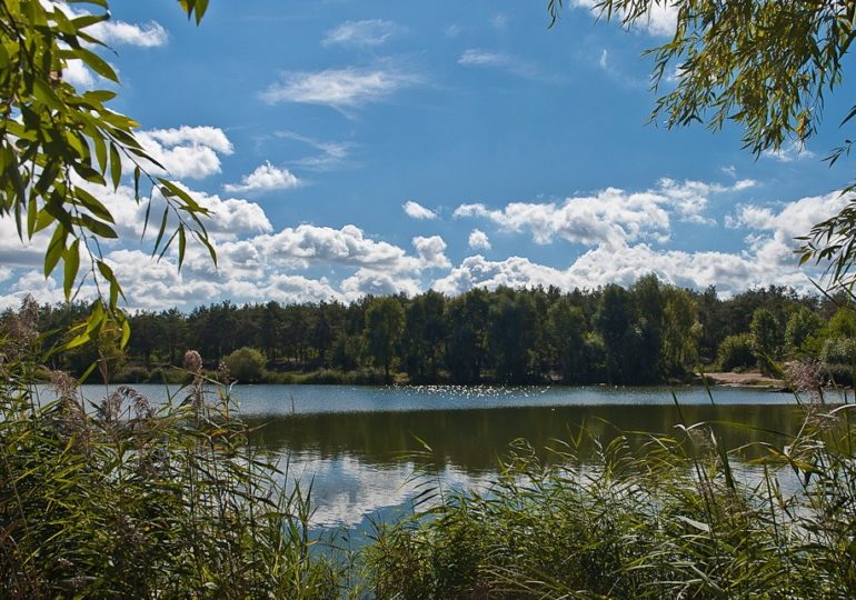 Купаться в озере? Не вздумайте!