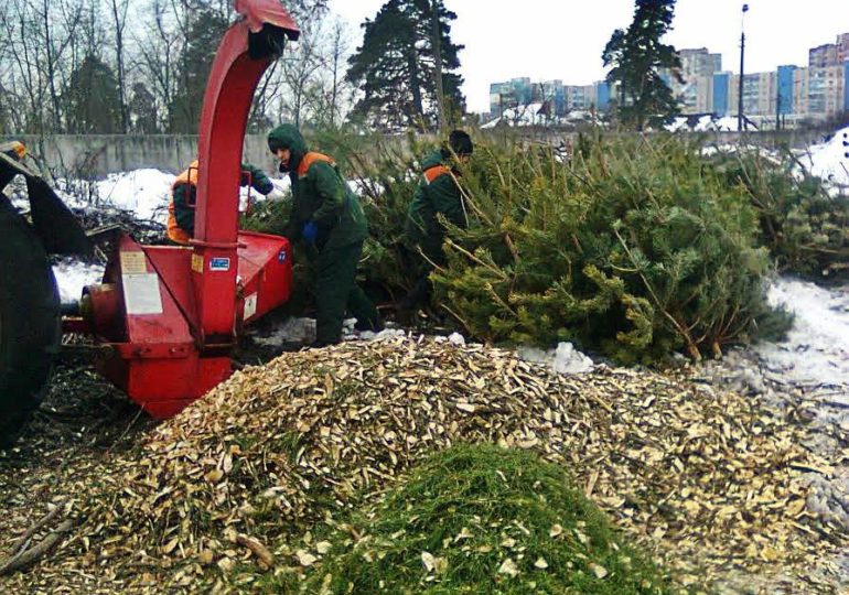 Два способа выбросить елку в Киеве