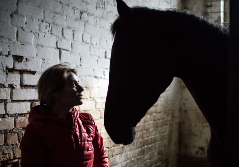 Сахарок и копытце. Как живут киевские лошади