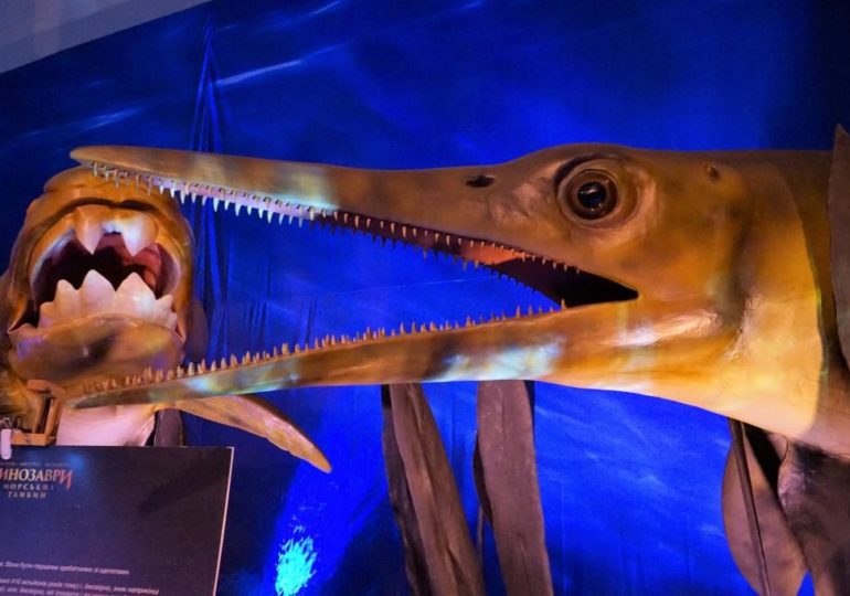Мезозой в Киеве: зачем стоит идти на выставку «Динозавры морских глубин»