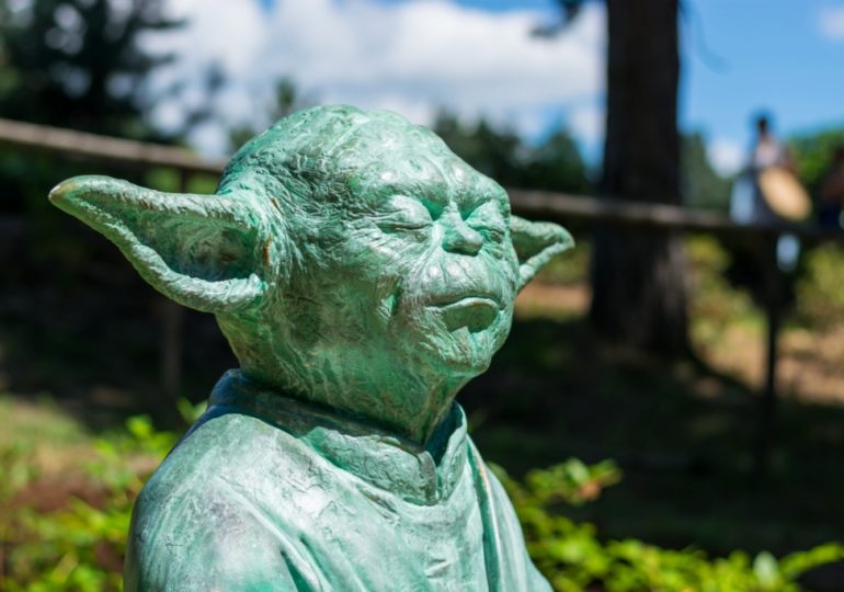 11 друзей Йоды открыли Аллею силы и знаний в Киеве