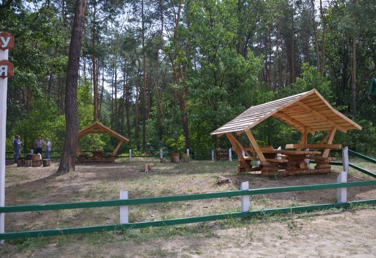 Пикник в лесу и на обочине: 38 разрешенных мест