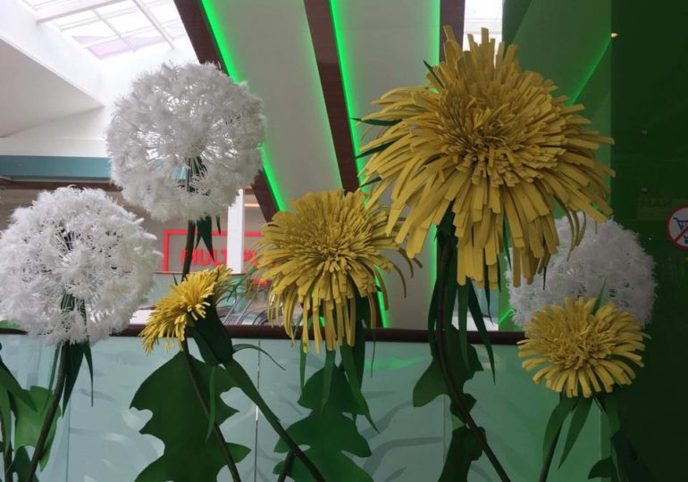 В ТРК «Проспект» зацвели огромные одуванчики