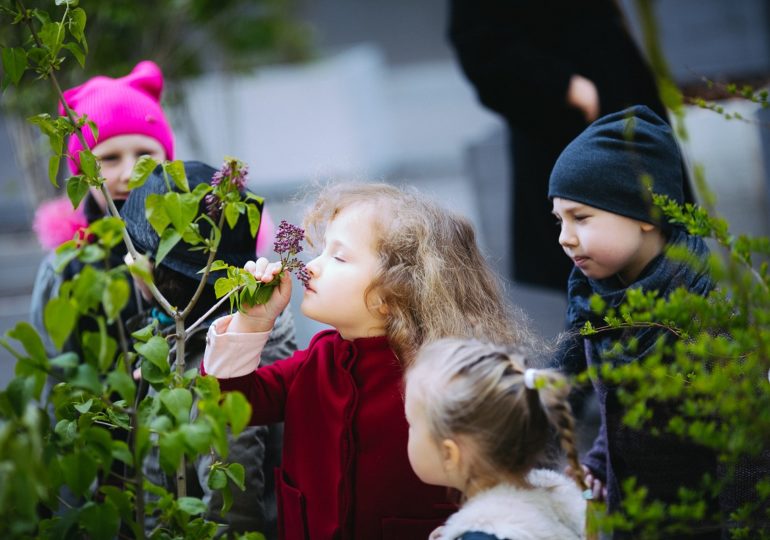 В Пассаже создали Pop-Up Парк. Инициатива Сделаем Киев снова зеленым!