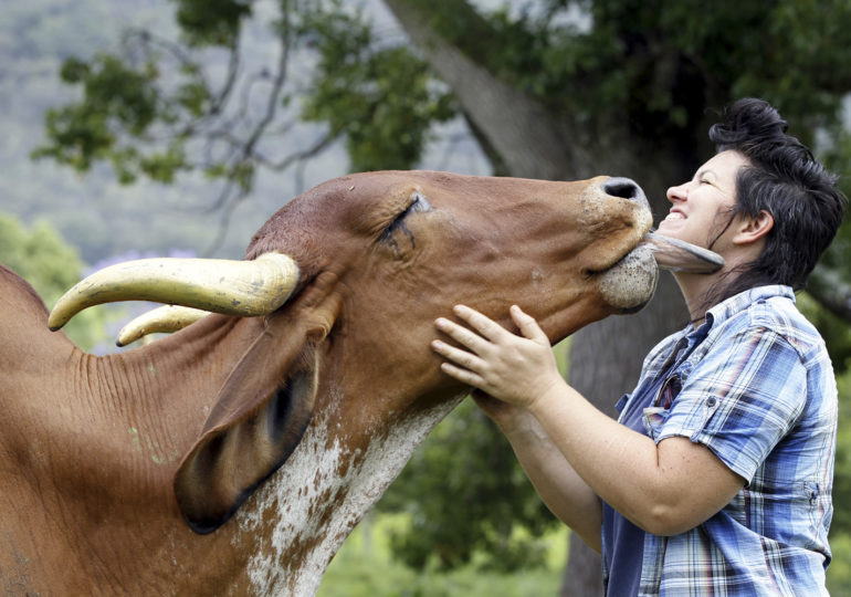 Go vegan: киевские веганы о своем активизме и любимых блюдах