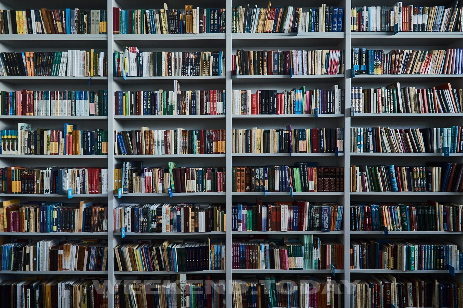 Книжки, пуфи та розваги: 5 улюблених бібліотек Києва - Вікенд