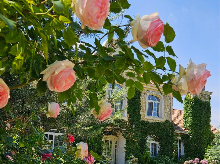Трояндовий сад під Києвом. Три підказки для поїздки в Naturalist Botanic