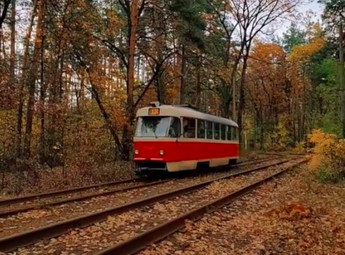 Трамвай до Пущі-Водиці: поради для подорожі в казковий ліс