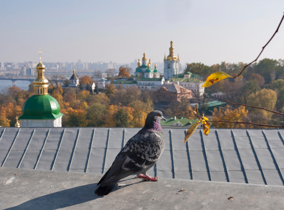 Ритми Києва. Місця нашої музики