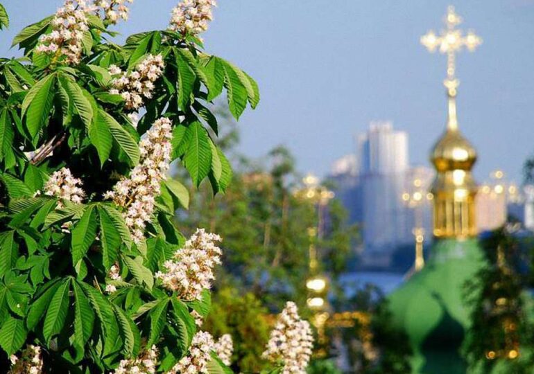 Каштани в житті Києва: від монастирів до пісень і солодощів