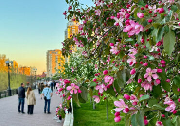 Нудно не буде. П’ять нових хобі на весну