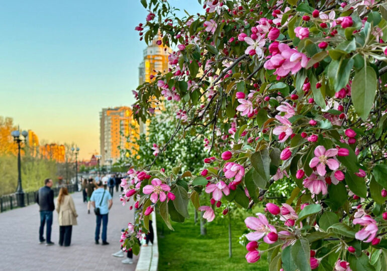 Нудно не буде. П’ять нових хобі на весну