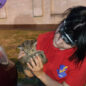 Врятувати бобра, кота та кажана. Як працює Kyiv Animal Rescue Group