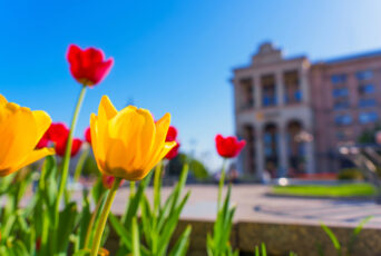 Інструкція до весни- 2026: список справ