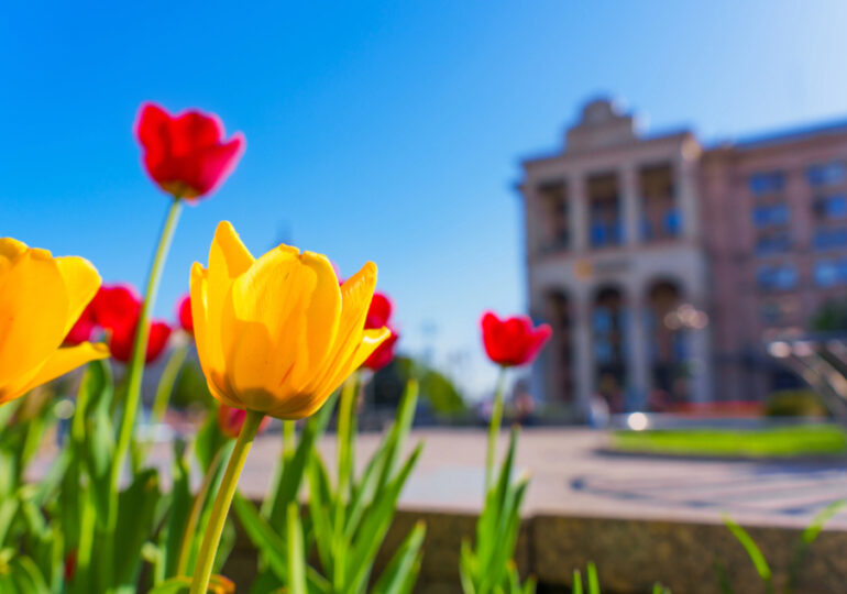 Інструкція до весни- 2026: список справ