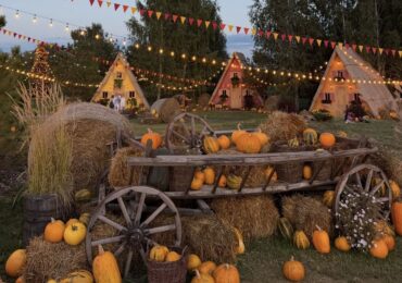 Квіти, сіно, гарбузи. Де шукати найгарніші фотозони осені в Києві